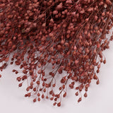 Lepidium atraxa, Dried, Pink, Bunch