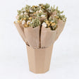 Wildflower Mixed Bunch Bucket, Natural