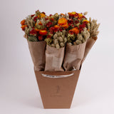 Bucket, Wildflower Bunches, Dried, Orange