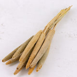 Babla, (Pearl Millet), Natural, Bunch x 10