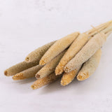 Babla, (Pearl Millet), Natural, Bunch x 10