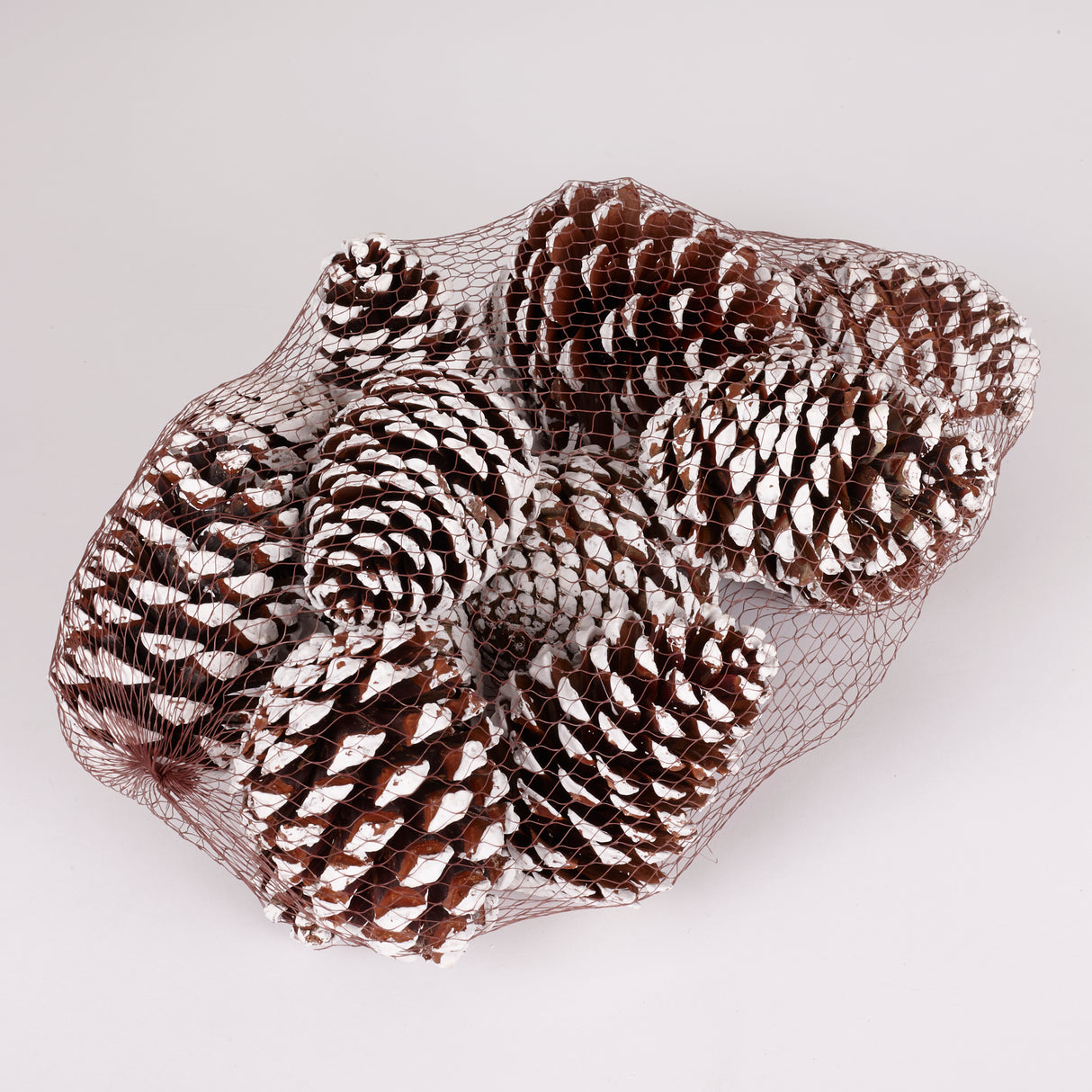 Maritima Cones, Natural with White Painted Tips, Net x 12 Cones