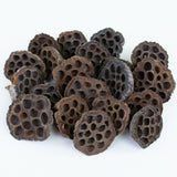 This image shows lotus seed heads on a white background