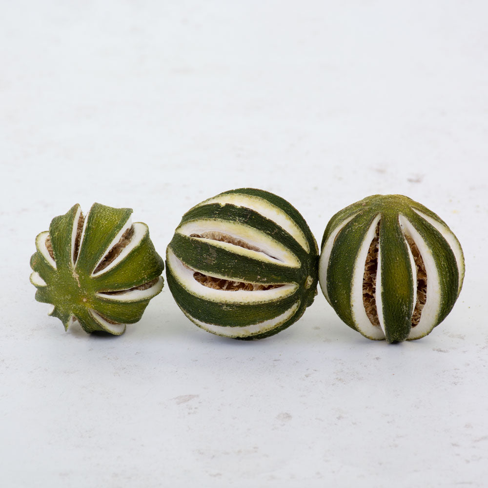 Dried Whole Oranges, Green Skin, 250g Bag 