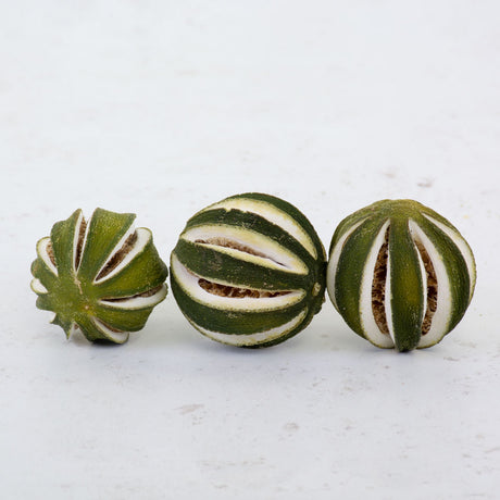 Dried Whole Oranges, Green Skin, 250g Bag 