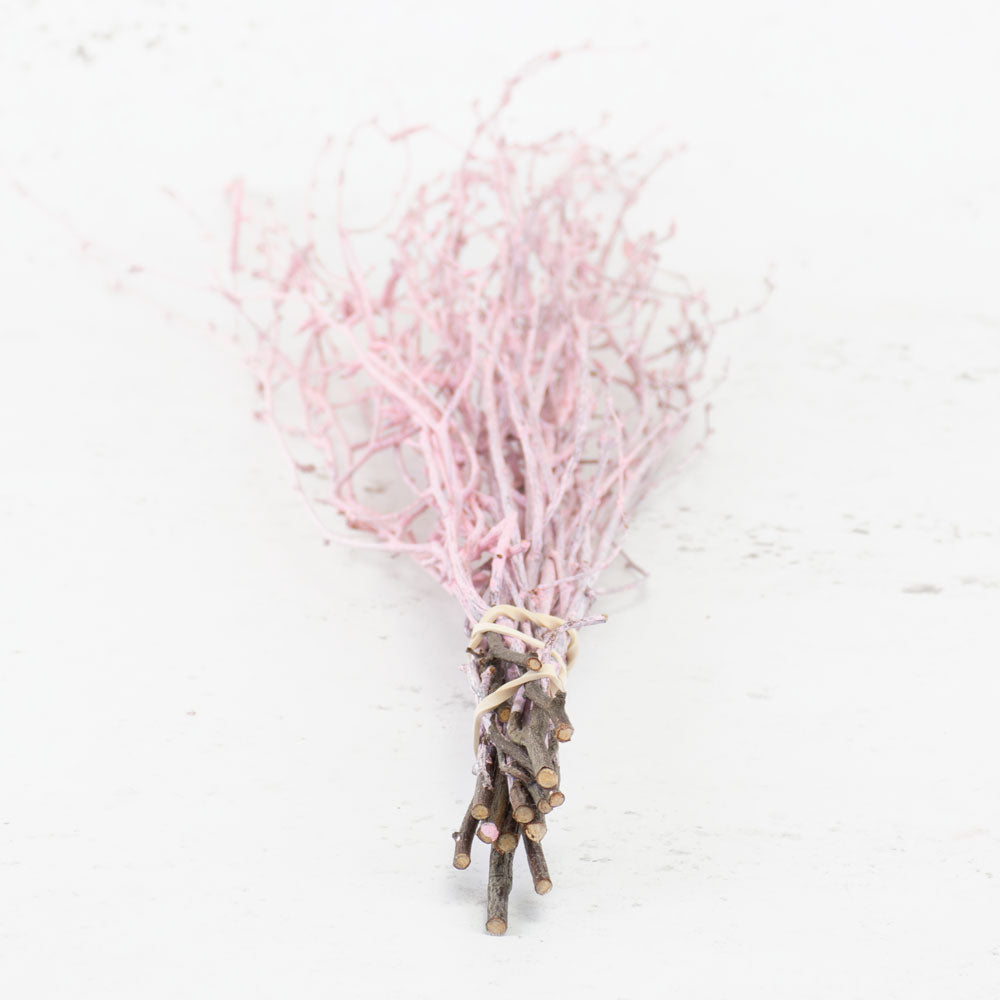 Birch, Pink Misty, 10pc Bunch, 60cm