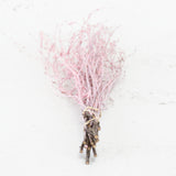 Birch, Pink Misty, 10pc Bunch, 60cm