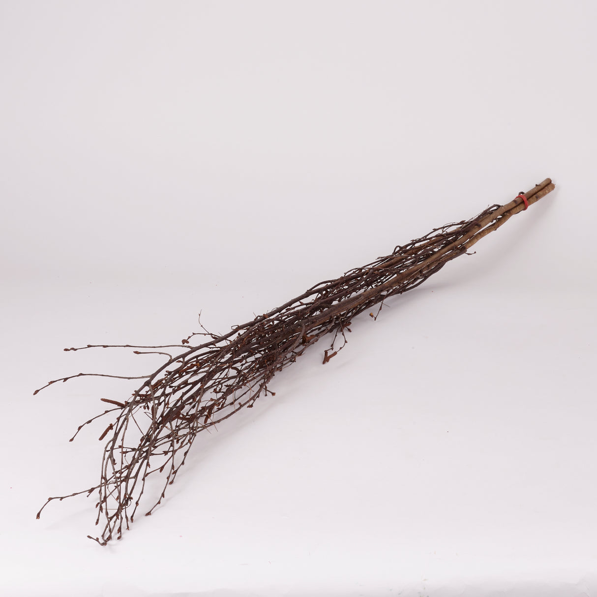 Birch, Natural & Dried, 3pc Bunch, 115cm
