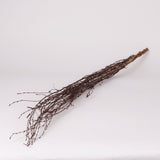 Birch, Natural & Dried, 3pc Bunch, 115cm
