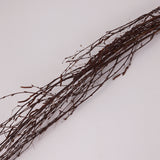Birch, Natural & Dried, 3pc Bunch, 115cm
