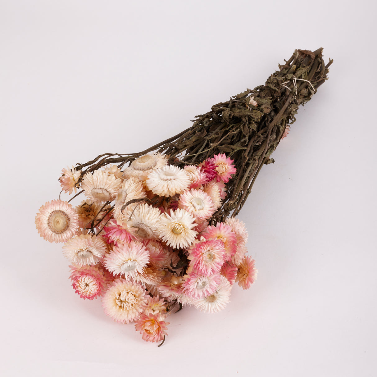 Helichrysum, Dried, Natural Light Pink, 45cm Bunch