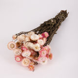 Helichrysum, Dried, Natural Light Pink, 45cm Bunch