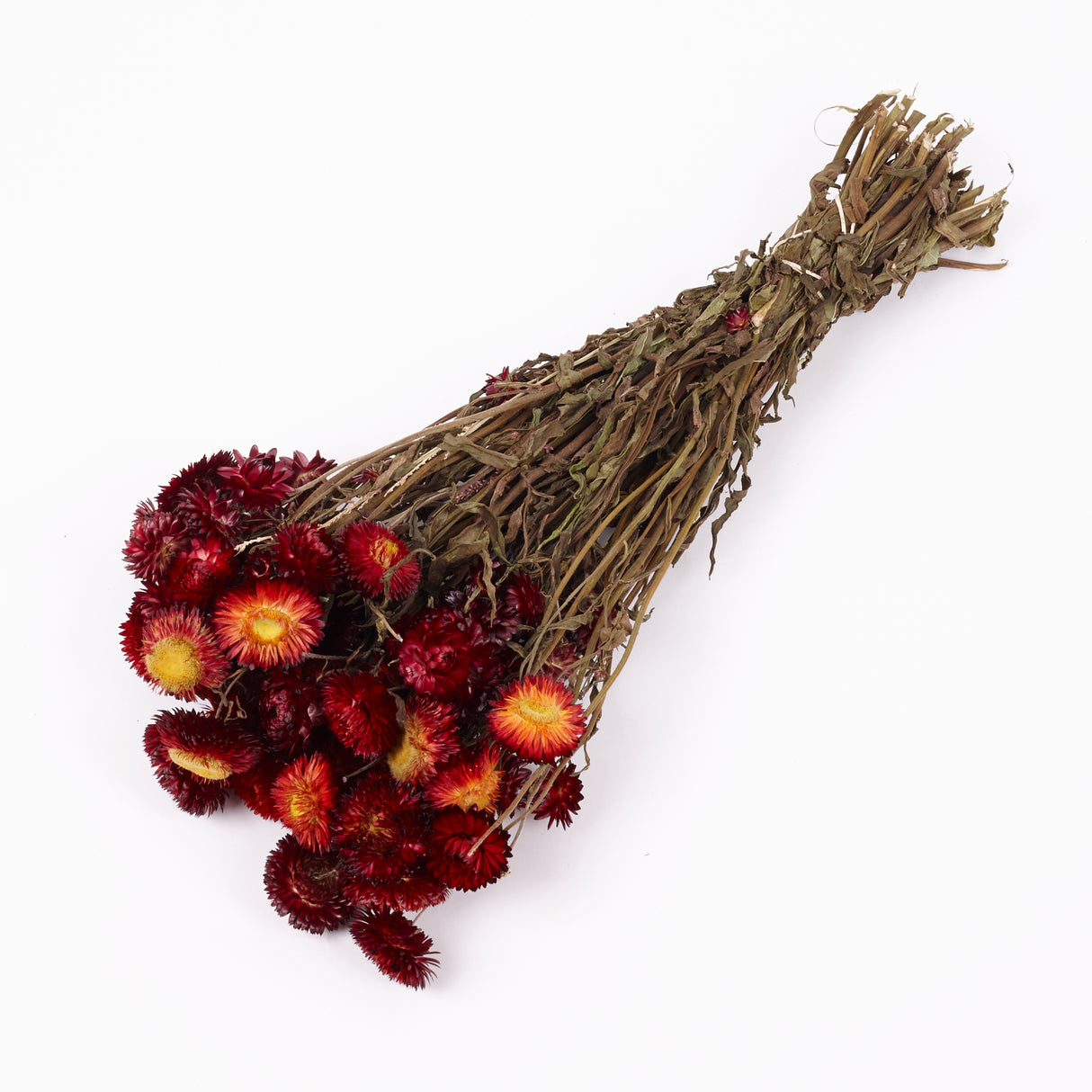 Helichrysum, Dried, Natural Red, 45cm Bunch