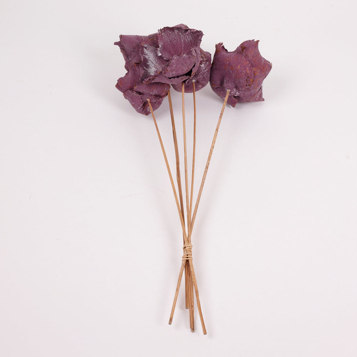 Palm Cup on Stem, Fuchsia with Frost, Bunch x 5