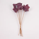 Palm Cup on Stem, Fuchsia with Frost, Bunch x 5