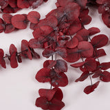 Eucalyptus Cinerea, Preserved, Bright Red, 150g