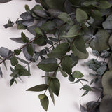Eucalyptus Cinerea, Preserved, Pale Green/Grey, 150g