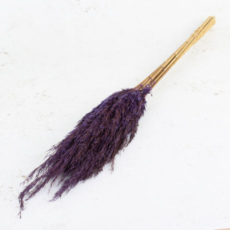 Wild Reed Plume, Lavender