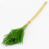 Soft Pencil Grass, Green