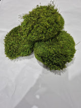 Mood Moss, Preserved, Light Green, 250g box