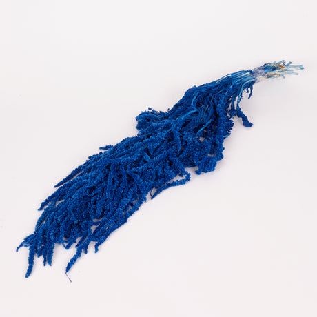 Amaranthus trailing, Preserved, Blue, 150g bunch