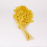 Amaranthus trailing, Preserved, Yellow, 150g bunch