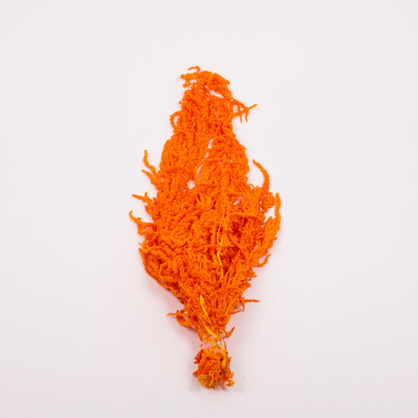 Amaranthus trailing, Preserved, Apricot / Orange, 150g bunch