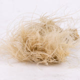 Stipa sfilata Grass, Natural White, 50g
