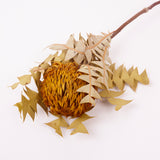 Banksia Baxterii, Extra, Yellow, Single Stem