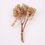 Banksia Baxterii, Extra, Natural, Bunch x 3 stems