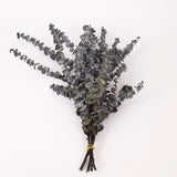Eucalyptus Baby Blue, Preserved, Dark Green, 150g