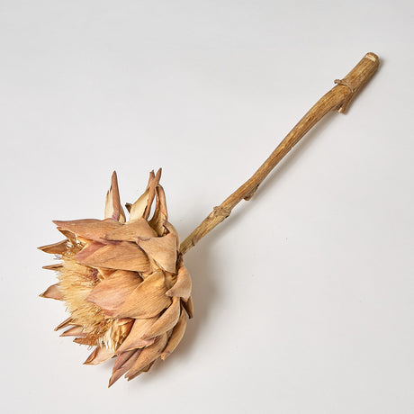 Artichoke, Natural, 8-10cm, Per Stem