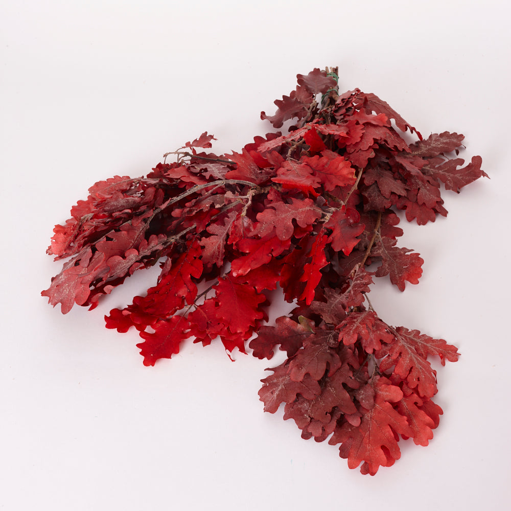Oak Foliage, Preserved, Red, 150g Bunch