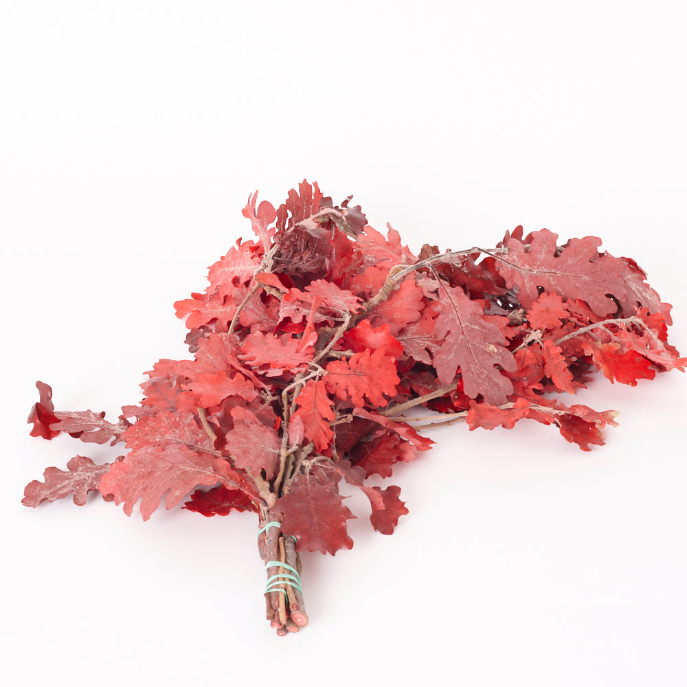 Oak Foliage, Preserved, Red, 150g Bunch