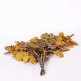 Oak Foliage, Preserved, Yellow, 150g Bunch
