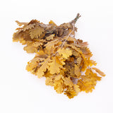 Oak Foliage, Preserved, Yellow, 150g Bunch