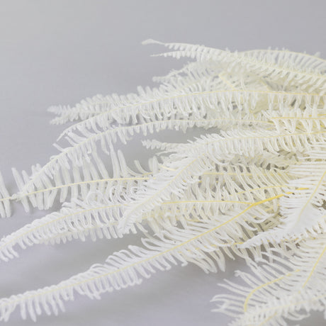 Coral Leaf, Bleached White, 10 stem Bunch