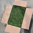 Reindeer Moss, Medium Green, 5kg Box