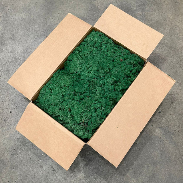 Reindeer Moss, Grass Green, 5kg Box