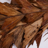 Butterfly Palm, (caryota), Dried, Bunch x 10 Stems