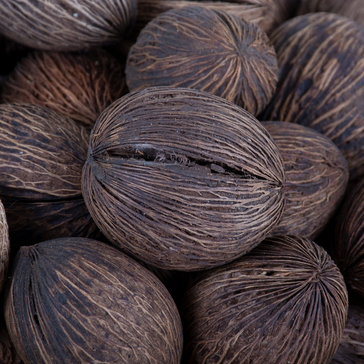 This image shows a bowl full of Mintolla balls set against a white background