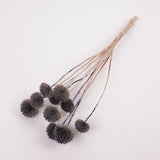 Echinops, large, Dried & Painted Blue, Bunch