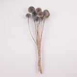Echinops, large, Dried & Painted Blue, Bunch