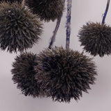 Echinops, large, Dried & Painted Blue, Bunch