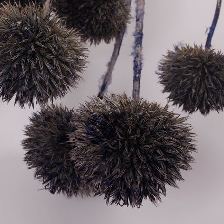 Echinops, large, Dried & Painted Blue, Bunch
