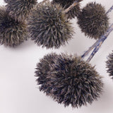 Echinops, large, Dried & Painted Blue, Bunch