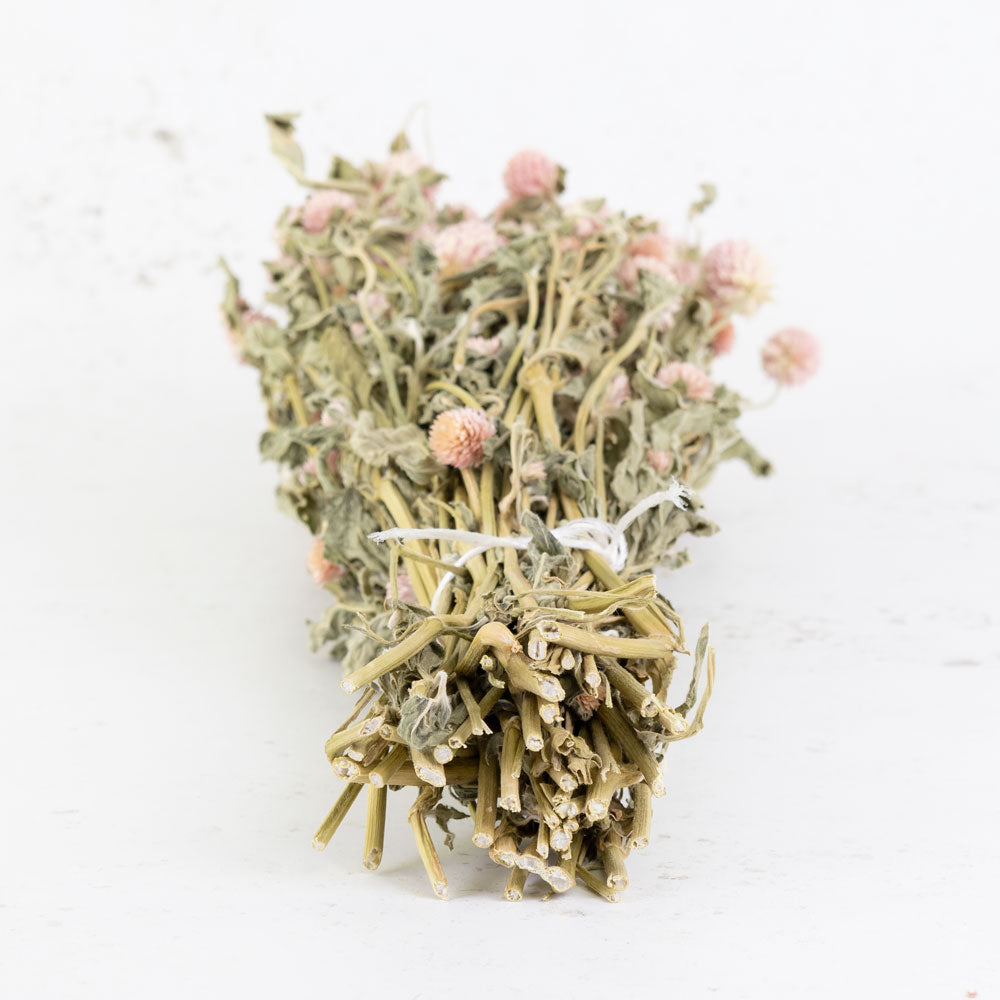 Gomphrena Flower, Pastel Pink, 50cm