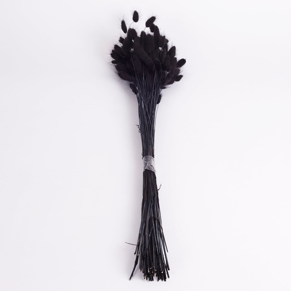 Lagurus, (Bunny Tails), Dried, Black, 50g