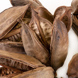 a group of sororoca flower fruit pods against a white background