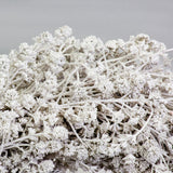 a wreath made of linen herb and painted a chalky white colour, against a white background